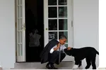 Obama và Bo.