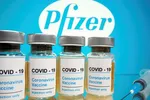 Pfizer cam kết đẩy nhanh giao vaccine Covid-19 cho Việt Nam trong tháng 8 và tháng 9