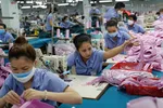 Workers piece together clothes at a factory in Ho Chi Minh City. Vietnam ranks as the world's third-largest apparel exporter. © Reuters