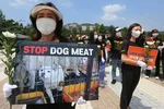 Các nhà hoạt động vì quyền động vật của Hàn Quốc tổ chức một cuộc biểu tình phản đối văn hóa ăn thịt chó của Hàn Quốc gần Nhà Xanh ở Seoul, Hàn Quốc. Ảnh: AP.
