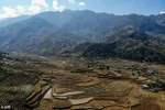 The spectacular terraces of Mu Cang Chai in northern Vietnam lie up to 1,000 metres above sea level