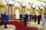 Mexican Ambassador Alejandro Negrin Munoz (centre) comes to present his credentials to President Nguyen Xuan Phuc on February 11. (Photo: VNA)