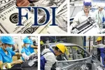 Ministry assesses profit and loss of FDI enterprises 