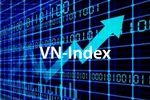 Fall in VN Index is transitory