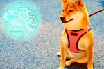 Giá DOGE giảm mạnh sau khi SpaceX của Elon Musk thử nghiệm tên lửa thất bại