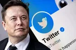 Elon Musk nói đã tìm được CEO mới cho Twitter, đó là ai?