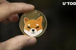 Báo động đỏ Shiba Inu: 80% hodler SHIB hiện đang thua lỗ