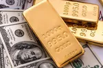Giá vàng 21/6: 55,9 triệu đồng/lượng, vàng cắm đầu lao dốc