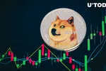 Nhà phân tích Michael van de Poppe: DOGE có khả năng tăng lên 0,1 USD