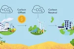 Strategies to Foster Growth in the Carbon Credit Market