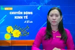 Bản tin: Kinh tế TPHCM trên đà hồi phục