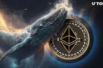 Cá voi Ethereum mua 155,7 triệu USD ETH khi giá gần mốc 3.000 USD