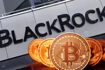Quỹ tài sản lớn nhất thế giới BlackRock đăng ký mua Bitcoin ETF cho Quỹ phân bổ toàn cầu