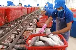 Challenges Persist for Pangasius Industry Despite Positive US Market Outlook