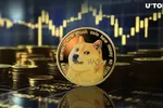 Giá DOGE tăng vọt 13% trong bối cảnh Dogecoin có 280.000 địa chỉ mới