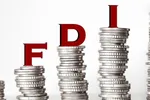 Raising the USD Interest Rate Cap to Attract FDI
