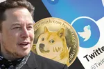 Elon Musk: ‘Tôi chỉ thích Dogecoin’ – DOGE tăng vọt