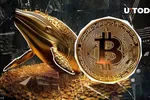 Cá voi Bitcoin khổng lồ thức dậy sau 11 năm, dự báo giá Bitcoin năm 2025