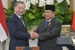 Indonesia's President Prabowo Subianto (right) shakes hands with Vietnam's Communist Party General Secretary To Lam after a joint press conference at the Presidential Palace in Jakarta on Mar 10, 2025.