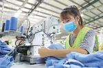Unlocking the Potential of Vietnam's Private Economy