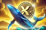 Cá voi XRP tích trữ hơn 1 tỷ USD chờ bứt phá