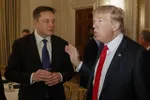 CEO Tesla Elon Musk và Tổng thống Donald Trump