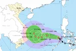 Bão Koto giật cấp 13 vào Biển Đông, trở thành cơn bão số 15