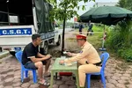 Tài xế bị khởi tố vì sử dụng giấy phép lái xe giả