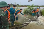 Nỗ lực khắc phục hàn khẩu 2 tuyến đê nội đồng bị vỡ ở Huế