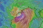 Các đài khí tượng thế giới dự báo gì về bão Wipha?