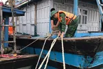 Bộ đội Biên phòng giúp ngư dân TP Huế neo đậu tàu thuyền tránh bão