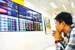 Thị trường chứng khoán: Trở chứng bất kham, rủi ro thua lỗ