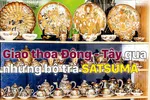 Giao thoa Đông - Tây qua những bộ trà SATSUMA