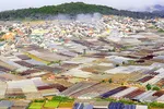 Quy hoạch nhà kính để bảo vệ Đà Lạt