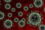 Xuất hiện virus cúm gia cầm có thể gây tử vong ở người