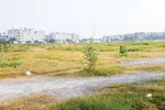 Mảng xanh dự án nhà ở ngày càng teo tóp