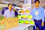 ĐBSCL: Trái cây tạo hình, hoa kiểng chuẩn bị ra phố chợ