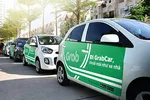 Xe kinh doanh taxi phải có phù hiệu “Xe Taxi” hoặc hộp đèn “Taxi“
