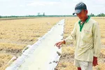 ĐBSCL: Lo nước ngọt cho vùng hạn mặn