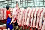 Giá thịt heo đang “rất nghịch lý”