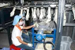 “Săn” găng tay y tế xuất khẩu ở Bình Dương