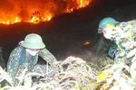 Nỗ lực ngăn cháy rừng tại Nghệ An, Hà Tĩnh và Thừa Thiên - Huế