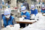 Doanh nghiệp dệt may chật vật xoay sở trong đại dịch