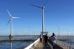 Phát triển điện gió ngoài khơi: Tiềm năng mới cho nền kinh tế biển