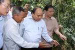 Thủ tướng Chính phủ Nguyễn Xuân Phúc khảo sát vùng chuyên canh sầu riêng tại Tiền Giang