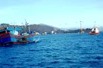Vụ 26 ngư dân Bình Định mất tích trên biển: Đã tìm thấy vị trí nơi chìm tàu