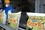 Ngành phân bón có hưởng lợi nhờ thuế?