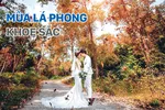 Mùa lá phong khoe sắc
