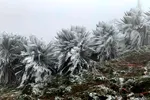 Nhiều nơi ở Việt Nam sắp có tuyết rơi, băng giá