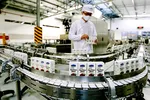 Sản phẩm sữa Việt Nam của Công ty Cổ phần sữa Việt Nam (Vinamilk) xuất khẩu ra nhiều thị trường khó tính trên thế giới